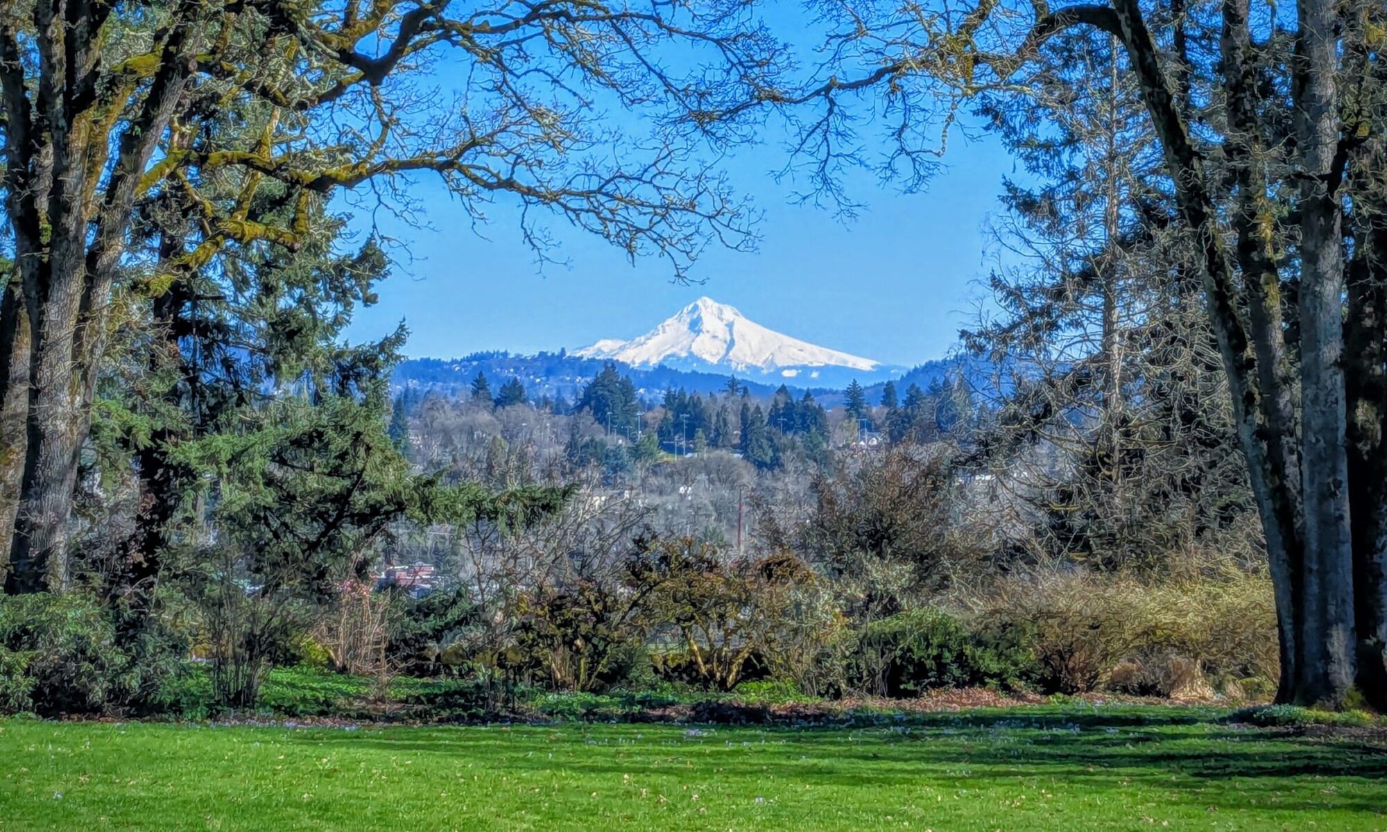 Mt. Hood View